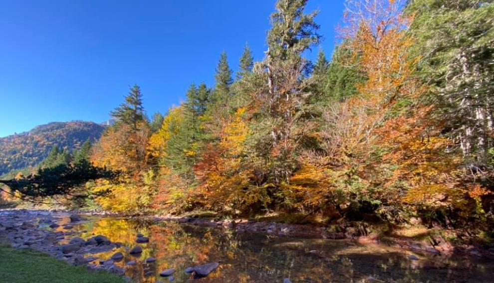 “Pocos sitios tan hermosos como el Pirineo aragonés en otoño. Selva de Oza”, afirma María Pilar.