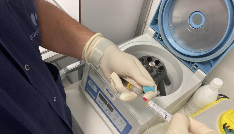 Los factores de crecimiento son proteínas que se encuentran en nuestra sangre.