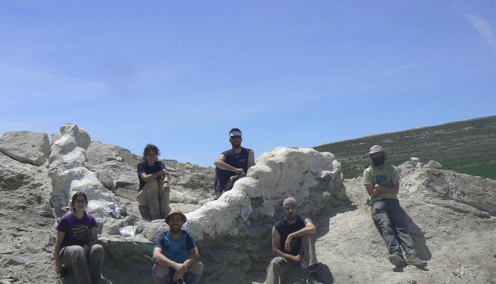 Hallazgo paleontológico en Teruel