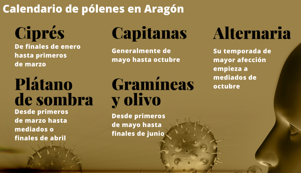 Calendario