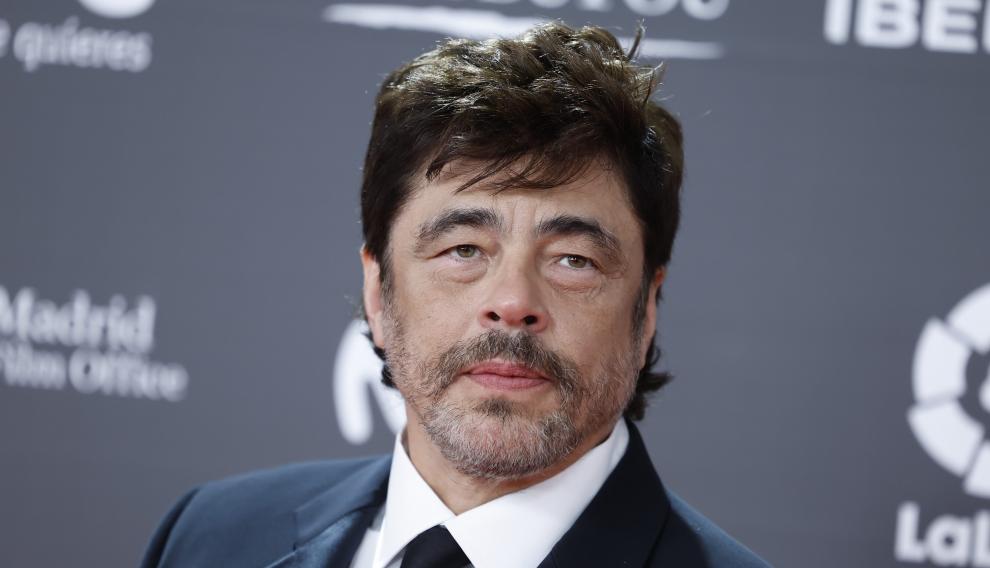 El actor Benicio del Toro