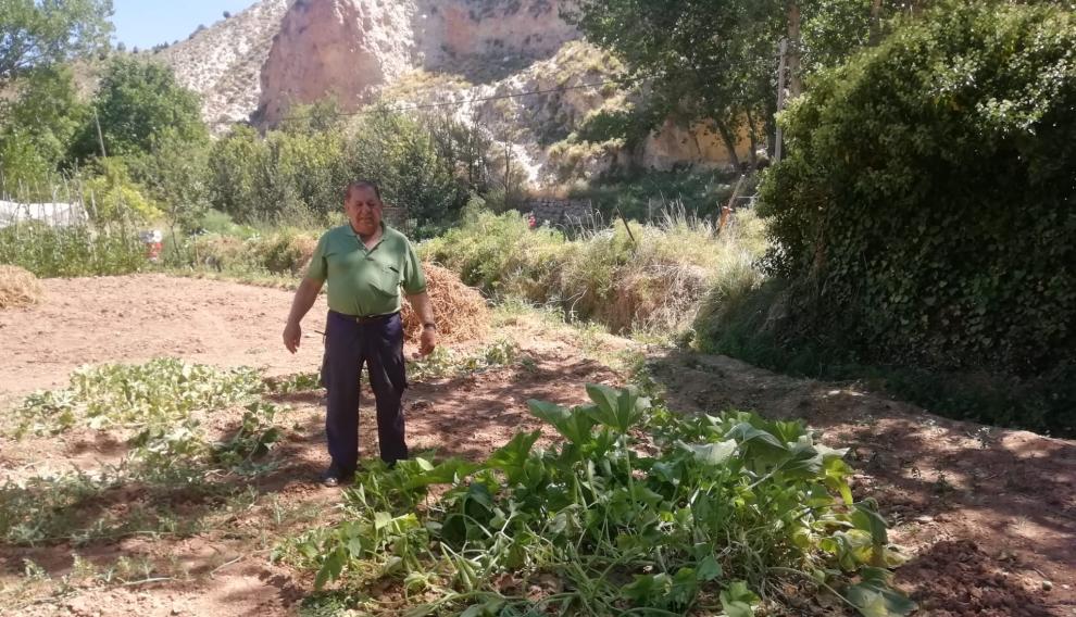 Luciano Garfella, junto a sus plantas de calabazas en su huerto de Cuevas Labradas, prácticamente secas.