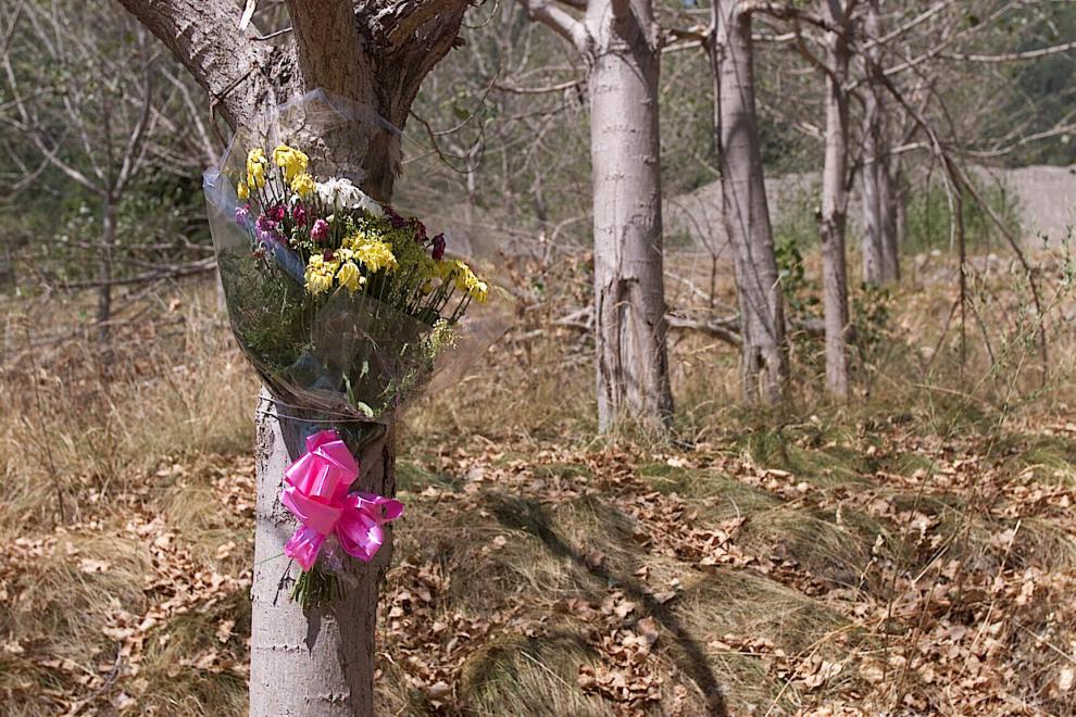 Flores en uno de los árboles donde se encontraba el campin de Biescas en el cuarto aniversario de la tragedia