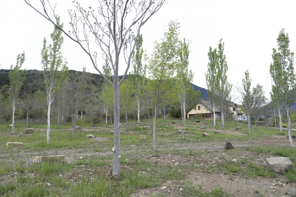 Tragedia del camping Las Nieves en Biescas