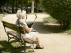 La soledad en los mayores puede repercutir en su salud.
