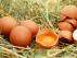 Se trata de 50 kilos de huevos en polvo contaminados con fipronil.