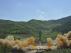 Imagen de archivo de un lanzamiento de misil desde Corea del Norte