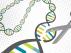 Como unas tijeras genómicas, la técnica CRISPR/Cas9 permite editar el ADN con gran precisión