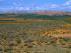 La estepa marca el paisaje de la reserva ornitológica de El Planerón de Belchite.