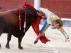 El torero valenciano Román cogido por un toro este domingo en Las Ventas.