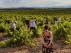 Un grupo de enoturistas disfrutando de la actividad ‘Catas al Atardecer’, de Hacienda Molleda, que forma parte de la Ruta del Viño de Cariñena.