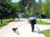 Un hombre pasea junto a sus tres perros en el parque de Torre Ramona, en Las Fuentes.