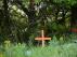 [Una cruz señala un enterramiento en un orfanato de Canadá.