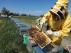 Aragón produce al año 934 toneladas de miel milflores.