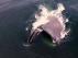 Una ballena azul se alimenta de kril en la costa de California.