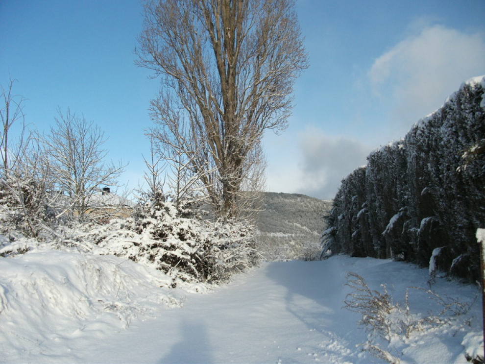 Detalles de la nevada en Jaca