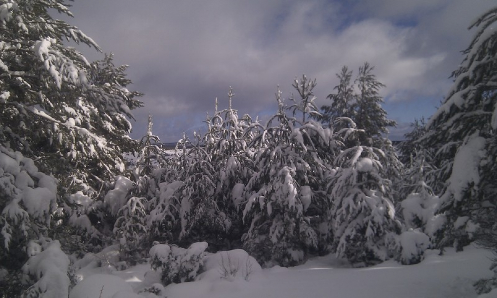 Nieve en Griegos, Teruel