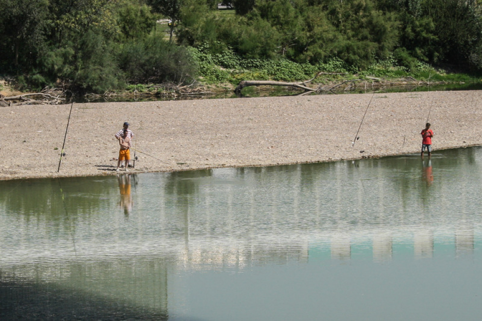 Actividad a orillas del Ebro