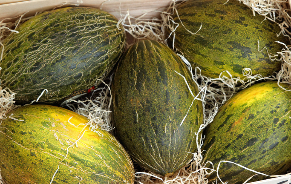 El melón es uno de los frutos más consumidos por los aragoneses en verano