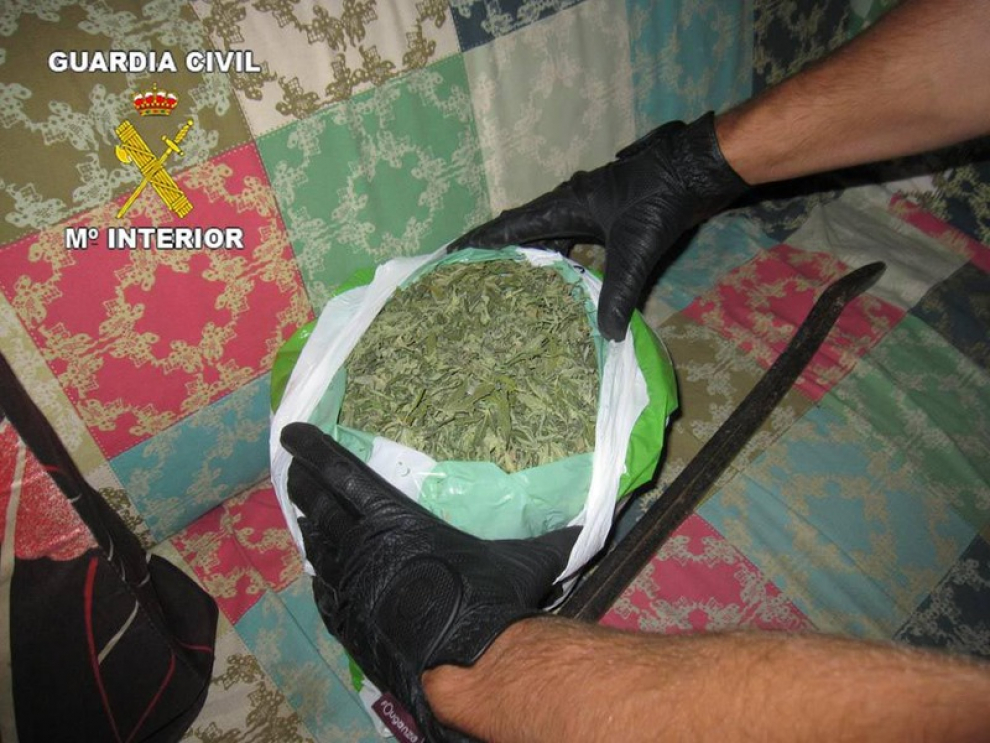 La Guardia Civil ha descubierto una plantación de marihuana en una vivienda de La Almunia de Doña Godina.