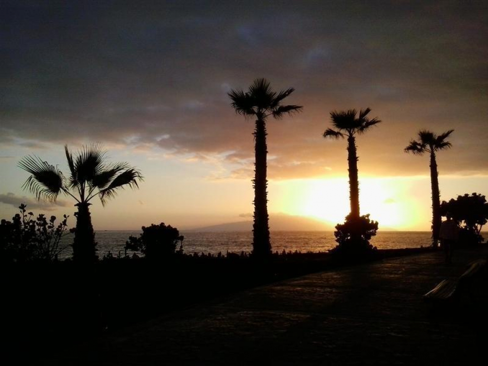 Foto del día