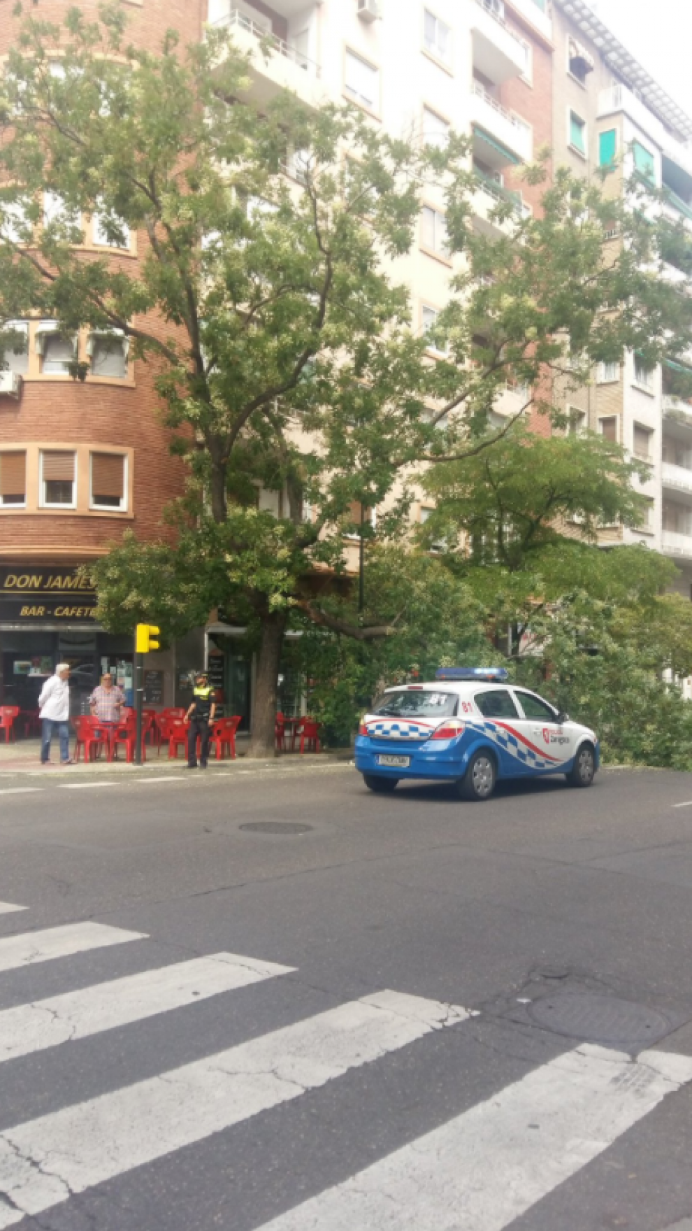 Una nueva rama cae en las calles de Zaragoza