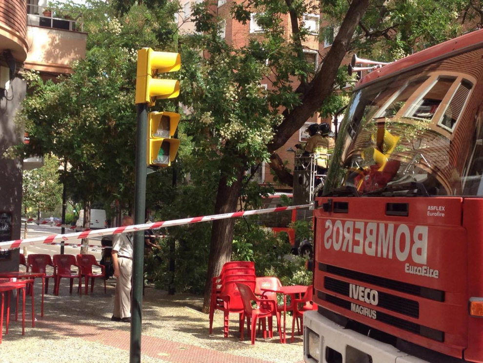 Una nueva rama cae en las calles de Zaragoza