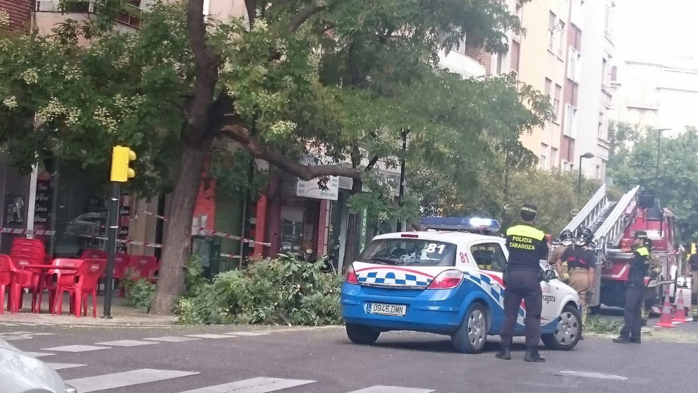 Una nueva rama cae en las calles de Zaragoza