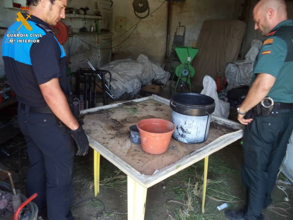 Peleas de gallos y marihuana en una finca de Pedrola