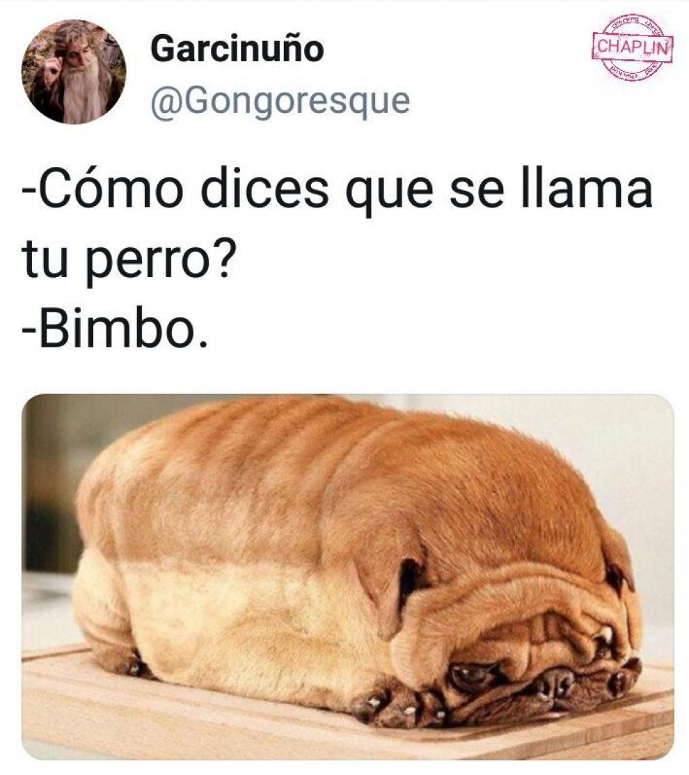 Los Memes Más Divertidos De La Semana Imágenes 