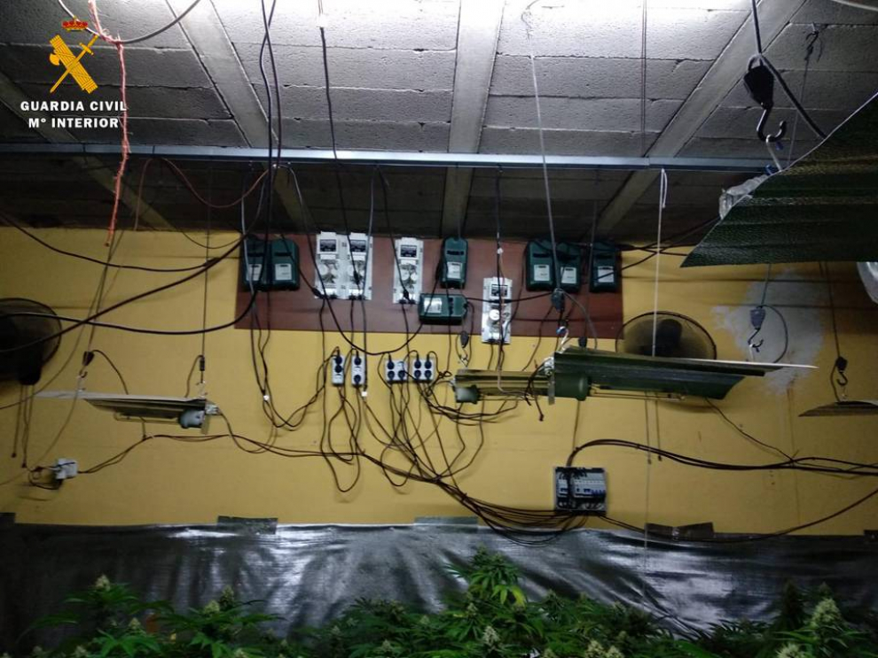 Halladas más de 1.600 plantas de marihuana en el interior de una vivienda de Garrapinillos