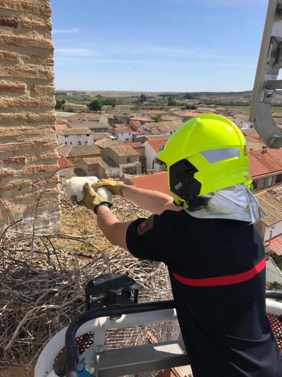 Trabajos para asegurar los nidos de cigüeñas en la iglesia de Peñaflor.
