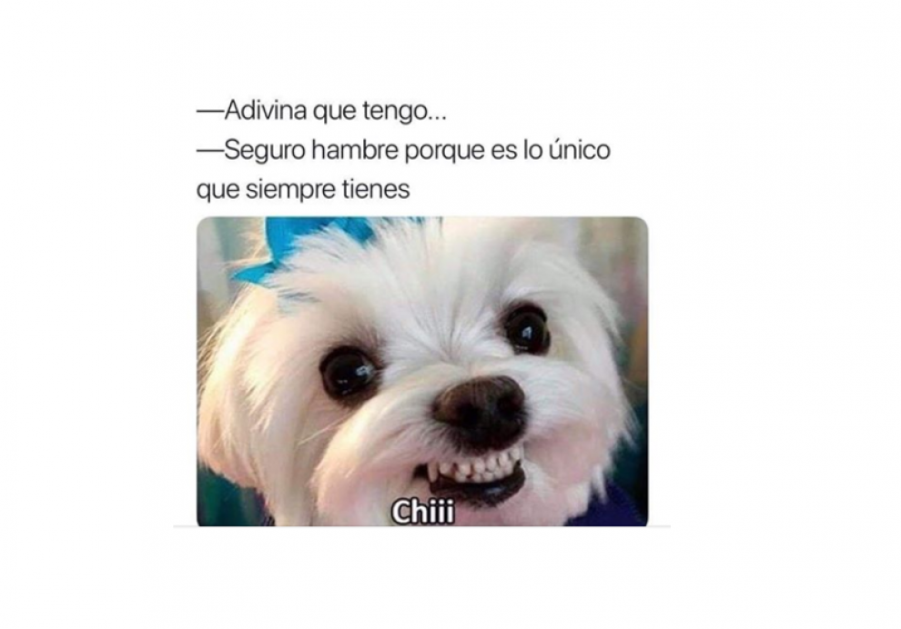Colección de memes