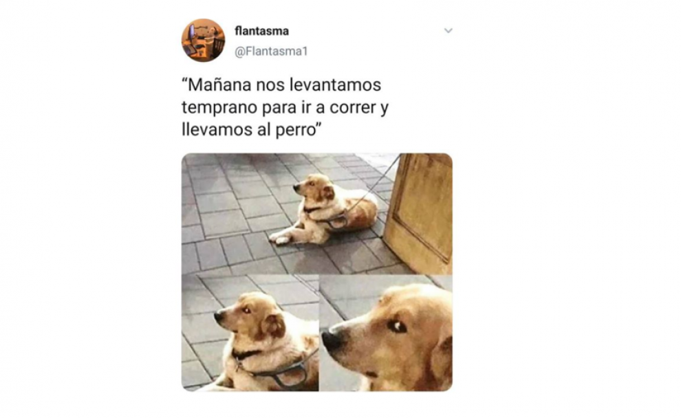 Memes de vistos en las redes sociales.