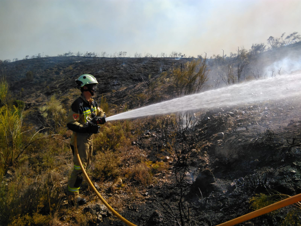 Los distintos servicios de bomberos de Aragón (Diputación de Zaragoza, Diputación de Teruel, Ayuntamiento de Zaragoza y comarcas) también se movilizan en los incendios forestales.
