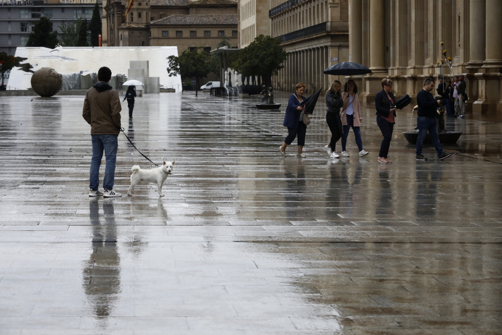 Desde la madrugada de este martes, la lluvia está refrescando las calles de Zaragoza