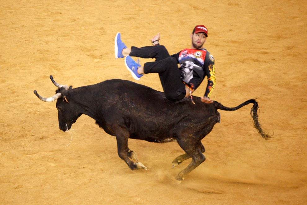 Primer día de vaquillas en las fiestas del Pilar 2019