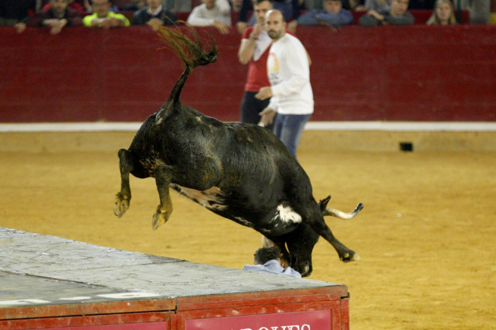Primer día de vaquillas en las fiestas del Pilar 2019
