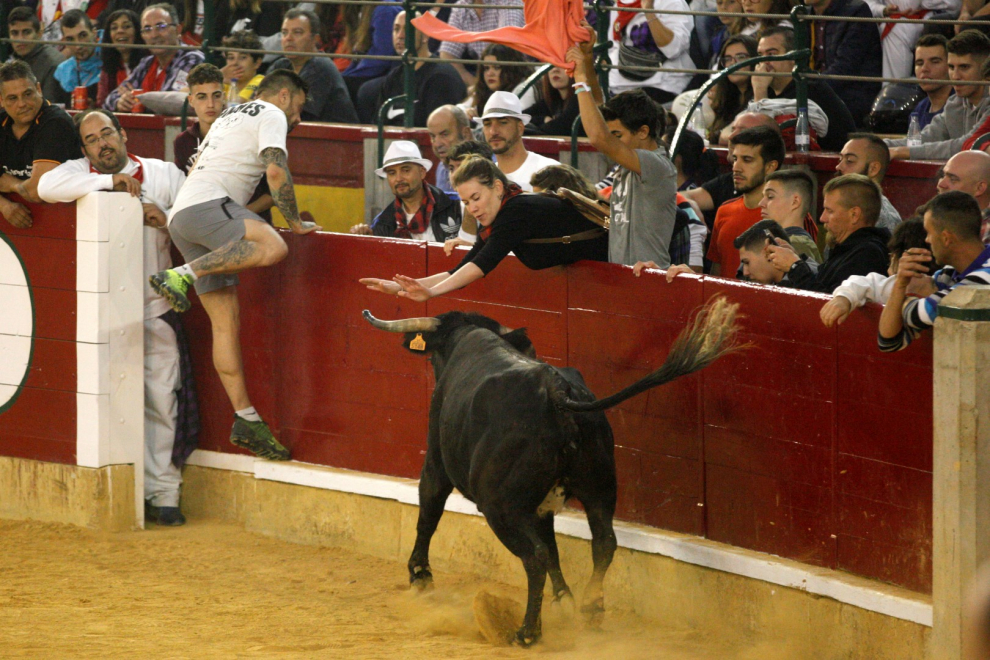 Primer día de vaquillas en las fiestas del Pilar 2019