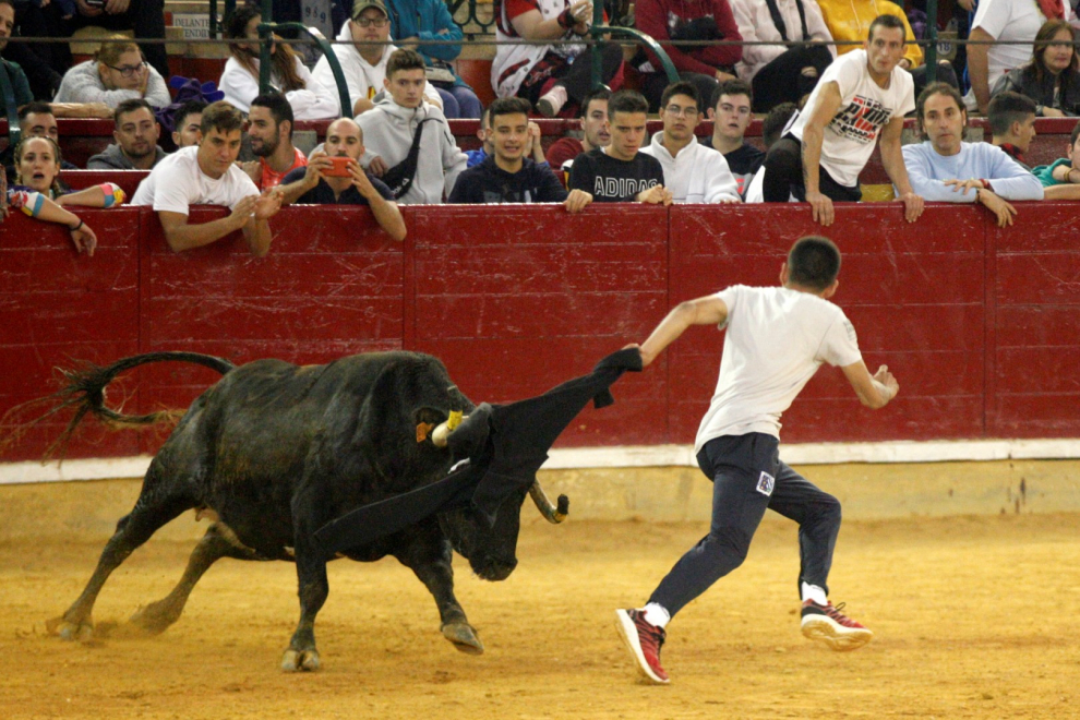Ganaderías de la tierra para la 4ª jornada de vaquillas de las fiestas del Pilar.