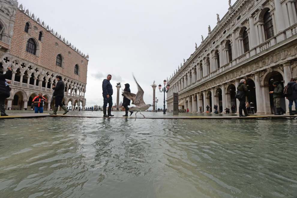 Venice (Italy), 17/11/2019.- Rising water levels at San Marco square in Venice, northern Italy, 17 November 2019. High tidal waters returned to Venice on Saturday, four days after the city experienced its worst flooding in more than 50 years. (Italia, Niza, Venecia) EFE/EPA/Andrea Merola Flooding in Venice