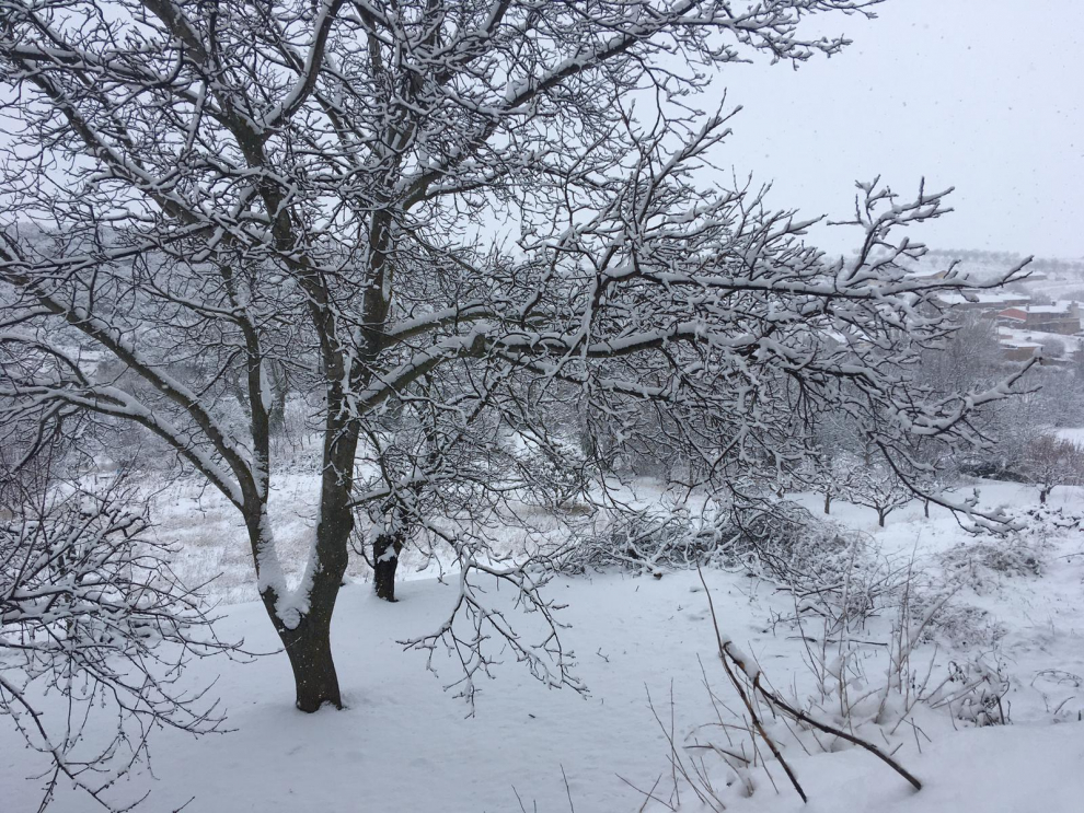 Imagen de la nevada en Lituénigo