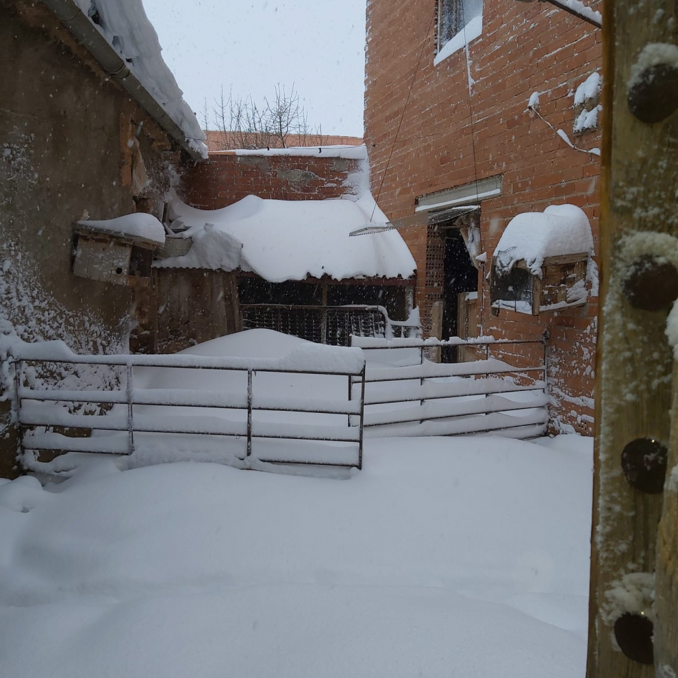 Imágenes de la nevada en Ferreruela de Huerva (Teruel).