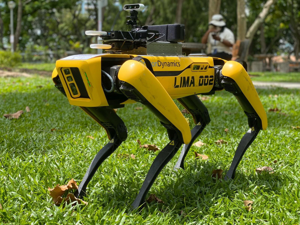 Un perro robótico para mantener las distancias en la desescalada