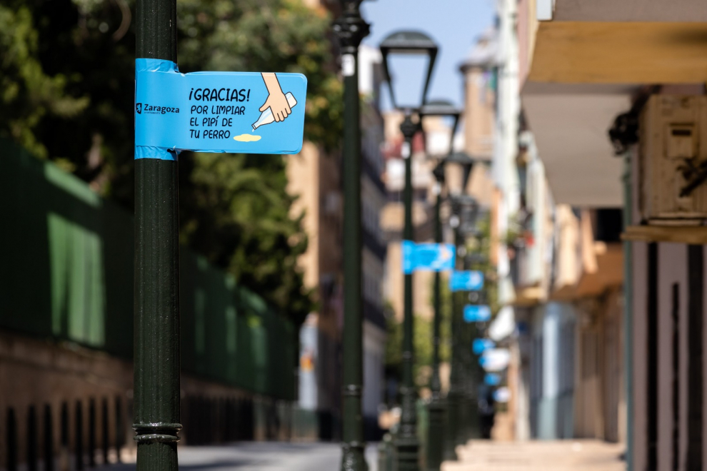 Zaragoza, frente a los orines de perros en la vía pública