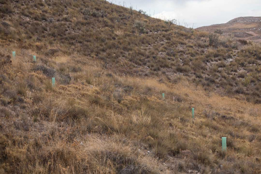 Foto de Velilla de Ebro