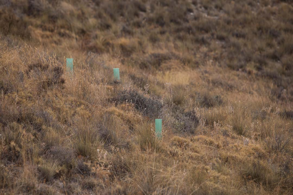 Foto de Velilla de Ebro