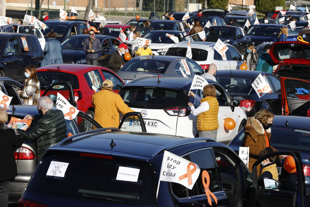 La enseñaza concertada, en las calles contra la ley Celaá