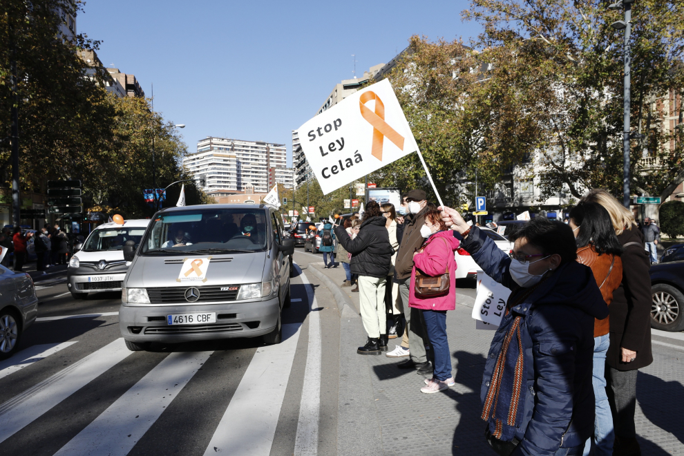 La enseñanza concertada toma las calles para protestar contra la ley Celaá
