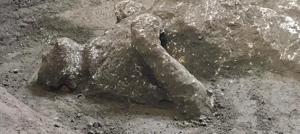 Remains of two men who died in the volcanic eruption that destroyed the ancient Roman city of Pompeii in 79 AD are discovered in a dig carried out during the coronavirus disease (COVID-19) pandemic in Pompeii, Italy November 18, 2020. Picture taken November 18, 2020. Luigi Spina/Handout via REUTERS    REUTERS ATTENTION EDITORS - THIS IMAGE HAS BEEN SUPPLIED BY A THIRD PARTY.[[[REUTERS VOCENTO]]] ITALY-POMPEII/